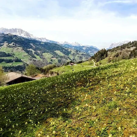 Alpstuga Art Vorderschuhzach *