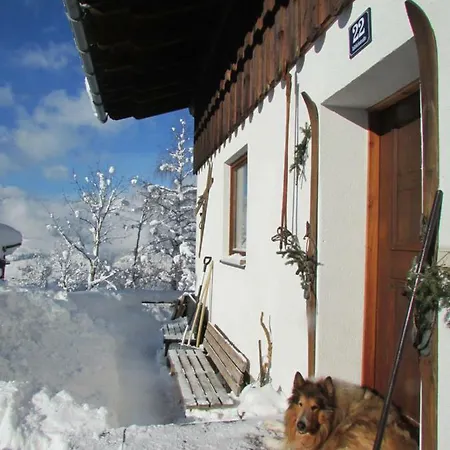 Art Vorderschuhzach * Sankt Johann im Pongau