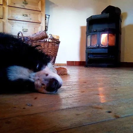 Chalé Art Vorderschuhzach *